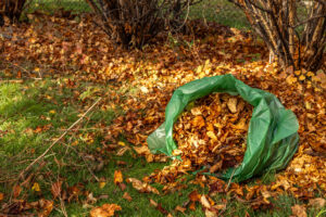garden waste removal